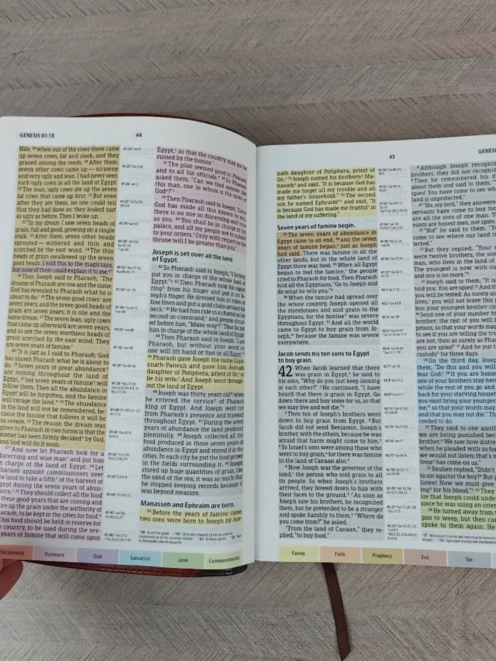 Holman Rainbow Study Bible NIV Edition 2015 Cocoa Terra Cotta LeatherTouch